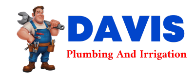 Trusted plumber in VIDA